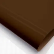Коричневая Ночь