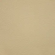 Желто-Бежевый